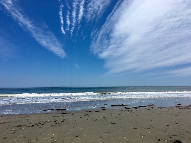 photo1