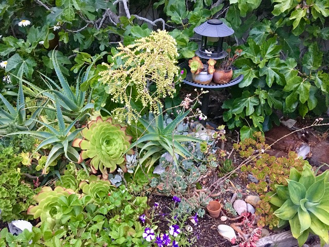 photo14