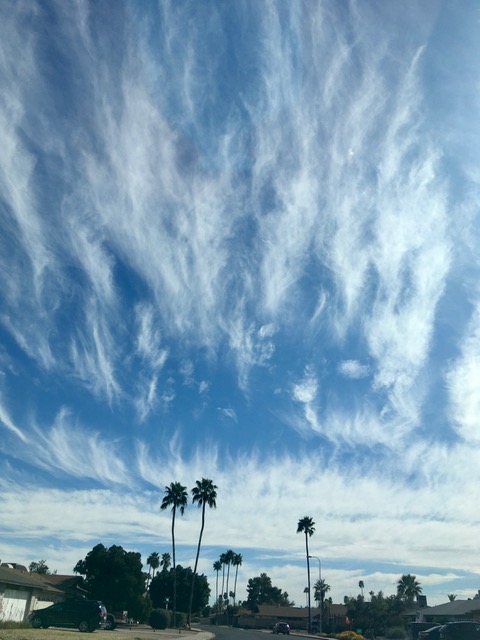 photo2
