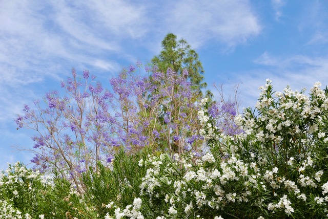photo8