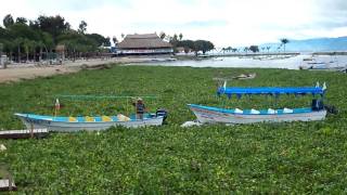 youtube-chapala4