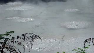 youtube-mudpot